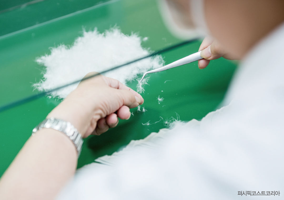 버진 다운 가격 폭등, 식물성·그래핀·리사이클 ‘대체 충전재’ 급부상 5802-Image